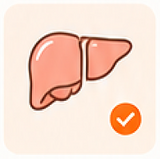 Liver detoxification icon