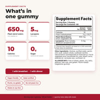 Heart & Cholesterol Support Gummies With Plant Sterols & Lycopene