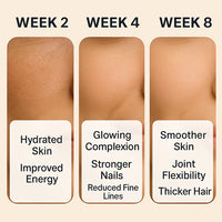 Collagen Peptides Gummies – Types I, II & III